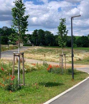 Platz für Ihr Traumhaus