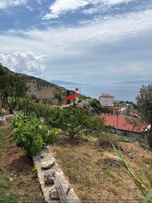 WhatsApp Image 2025-05-11 at 11.23.45-21.jpeg