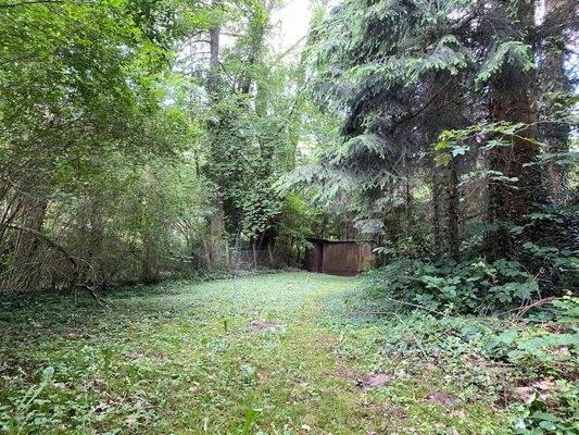 Schuppen Wald Rechts Bild 2