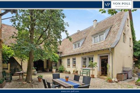 Albig Häuser, Albig Haus kaufen