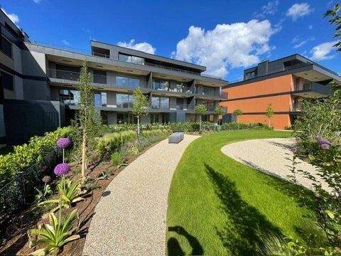 Achau Wohnungen, Achau Wohnung kaufen