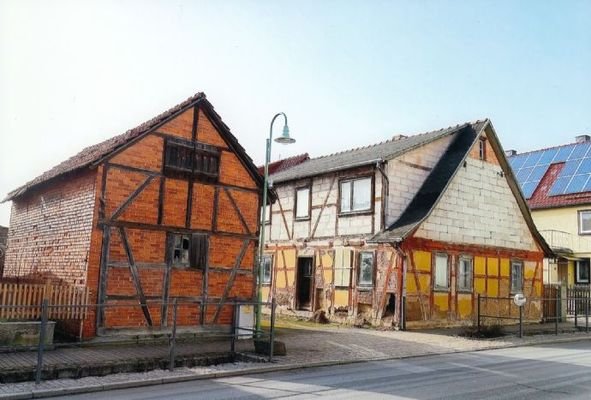 Wirtschaftsgeb.+ EFH - Straßenansicht