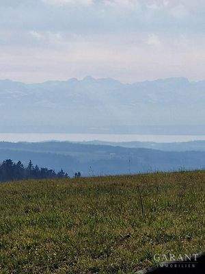 Ausblick vom "Höchsten"