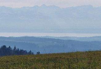 Ausblick vom "Höchsten"