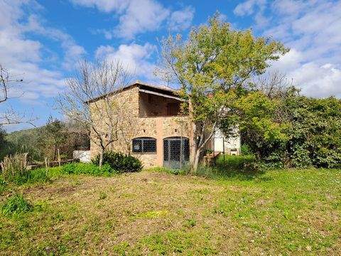 Suvereto Häuser, Suvereto Haus kaufen