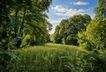 Der Lindenweiher