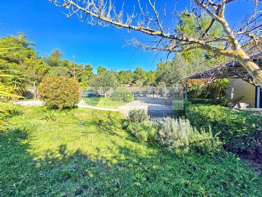 f81b662472fd4716ab36b1cf5ee96b47-original