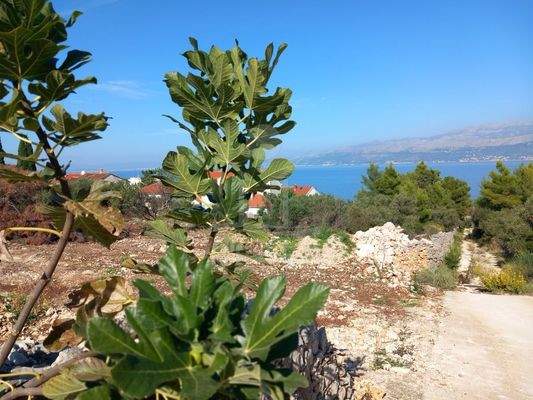 Vielseitige Bebauungsmöglichkeiten für individuelles Wohnen