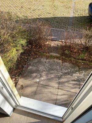 Groß (IMG_4072).jpeg