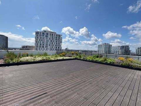 Hamburg Wohnungen, Hamburg Wohnung mieten