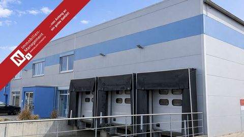 Kaiserslautern / Siegelbach Halle, Kaiserslautern / Siegelbach Hallenfläche