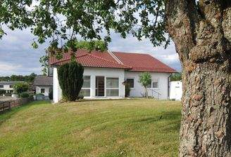 Haus mit Garten und Baum