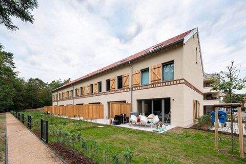 Beelitz Wohnungen, Beelitz Wohnung mieten