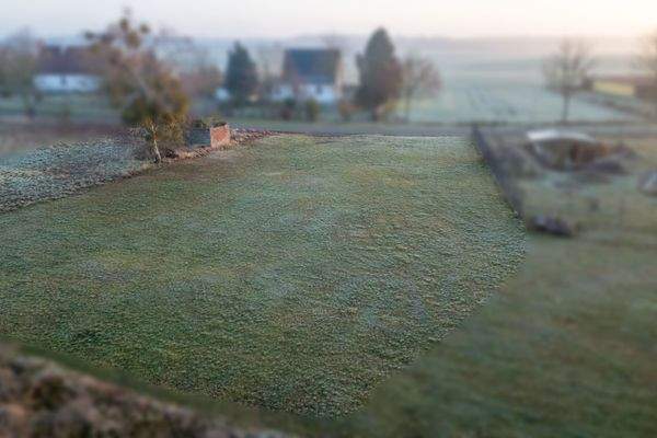 07 - Weitere Ansicht Bodenbeschaffenheit.jpg
