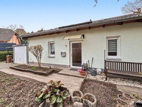 Chemnitz Häuser, Chemnitz Haus kaufen