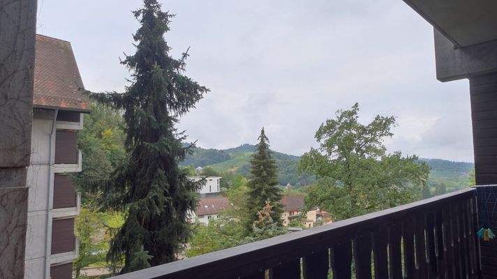 Balkon mit Blick Richtung Weinberge