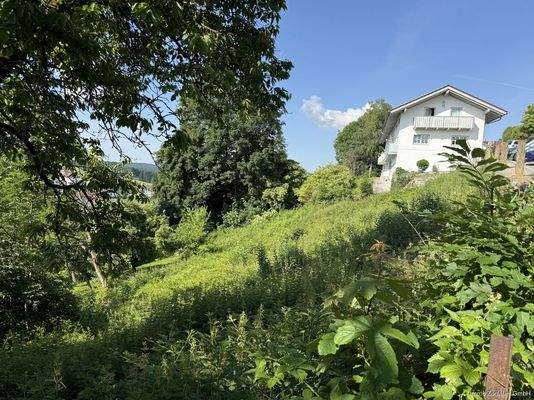 Blick auf das Grundstück