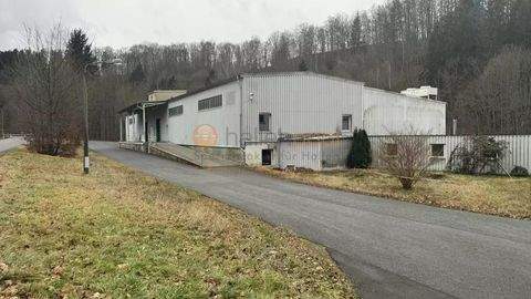 Großrückerswalde Halle, Großrückerswalde Hallenfläche