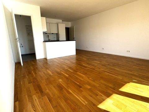 Dresden Wohnungen, Dresden Wohnung mieten