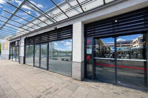 Dresden Ladenlokale, Ladenflächen 