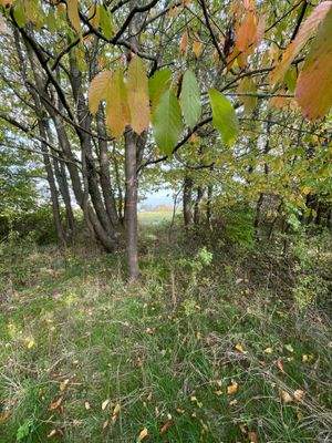 Blick auf die Umliegenden Felder