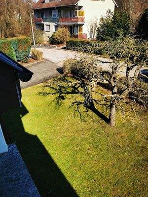 Blick in den Vorgarten