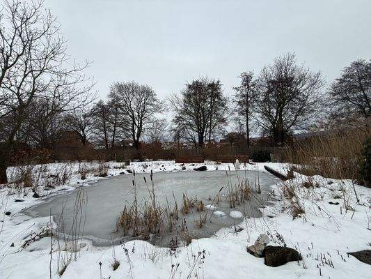 Teich im Winter
