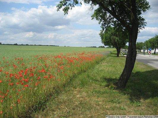 Seeburger Landschaften