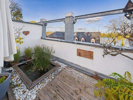 Teich und Rheinblick