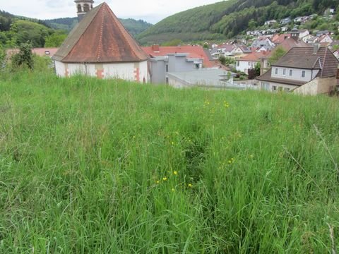 Neckargerach Grundstücke, Neckargerach Grundstück kaufen