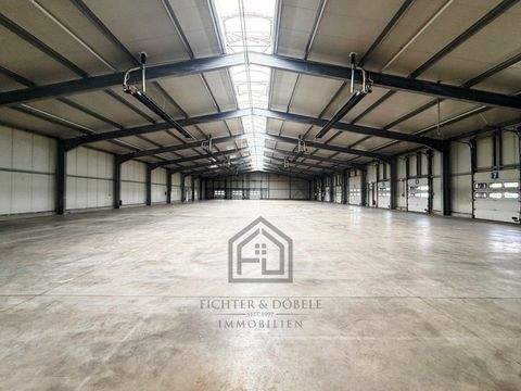 Tuttlingen Halle, Tuttlingen Hallenfläche