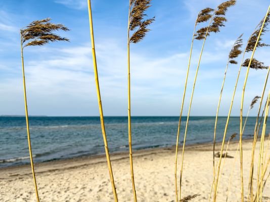 Ostsee nur 300 Meter Entfernung.jpg