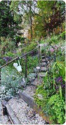 Garten – Nordseite