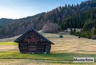 Keine Originalbilder