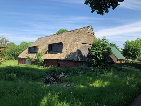 Hochdonn Bauernhöfe, Landwirtschaft, Hochdonn Forstwirtschaft