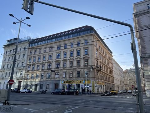 Wien Halle, Wien Hallenfläche