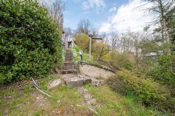 Hauptstraße 0 - 54316 Ollmuth