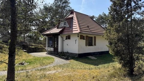 Vitte Häuser, Vitte Haus kaufen