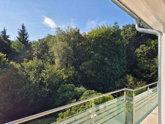 Blick vom Wohnzimmer - reine Süd-Westseite - unverbaubar