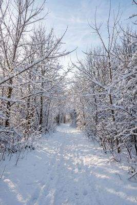 Idyllischer Weg zur Amper