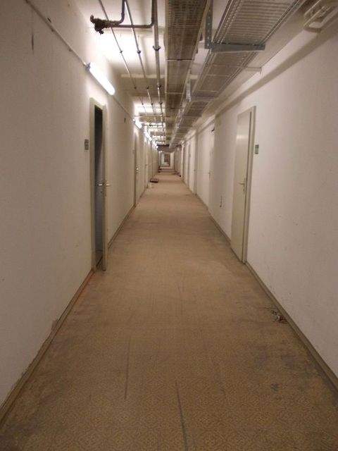 Dresden Halle, Dresden Hallenfläche