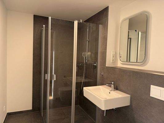 Ansicht Bad mit Dusche und WC