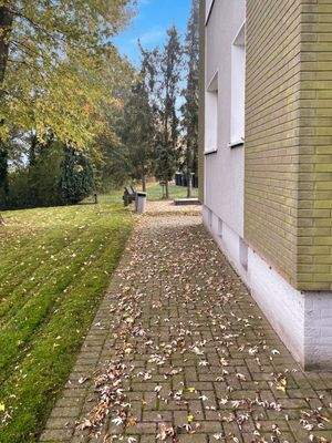 Gemeinschaftsgarten 2