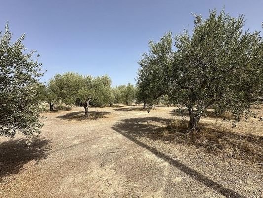 Kreta, Asteri: Grundstück mit Meerblick zu verkaufen