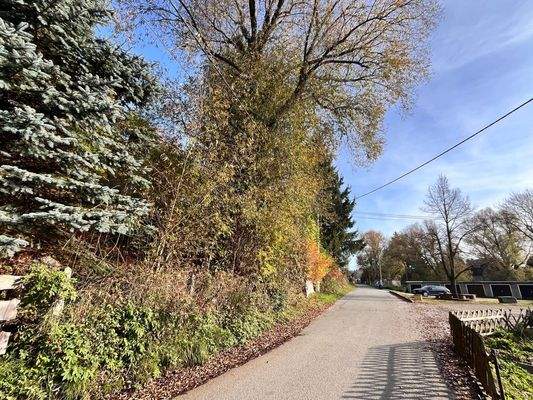 2024-3345-Vorderseite Grundstück