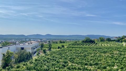 Krems an der Donau Wohnungen, Krems an der Donau Wohnung kaufen