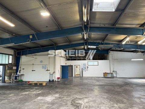 Crailsheim Halle, Crailsheim Hallenfläche