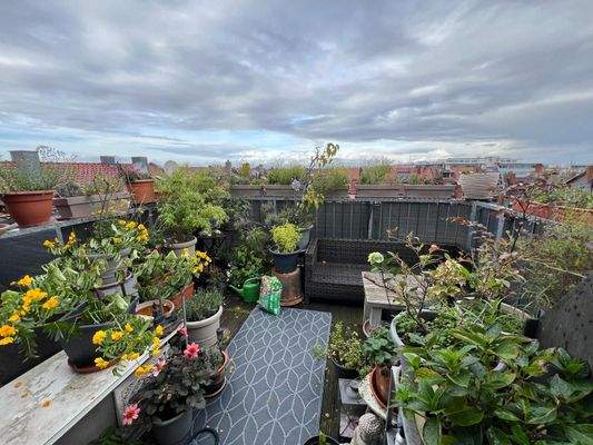 Dachterrasse mit 360 Grad Rundumblick. Ganz für sich alleine. Geschützt vor fremden Blicken.