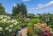 Garten (1)
