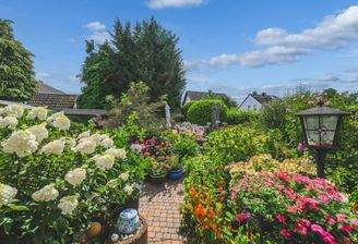 Garten (1)